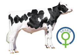 MILKWAGON  *Sexado*