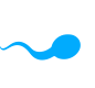 Genesis Genetics